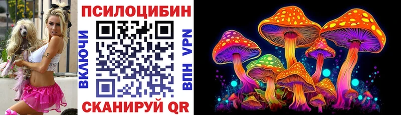 Галлюциногенные грибы Cubensis  Губкин 