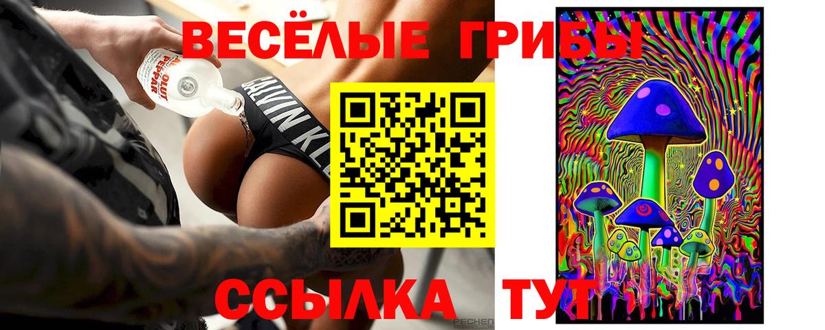 Псилоцибиновые грибы MAGIC MUSHROOMS Губкин