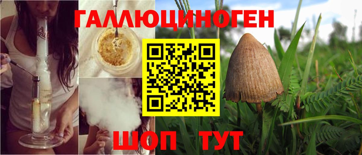 Губкин  Псилоцибиновые грибы Psilocybine cubensis  купить закладку  Вход с VPN  Псилоцибиновые грибы GOLDEN TEACHER 